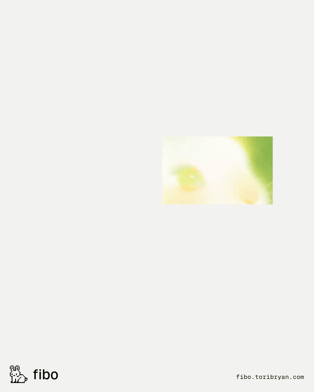 A soft photograph of a white rabbit's eye in a small window, with a dithered pixel rabbit building out around it.