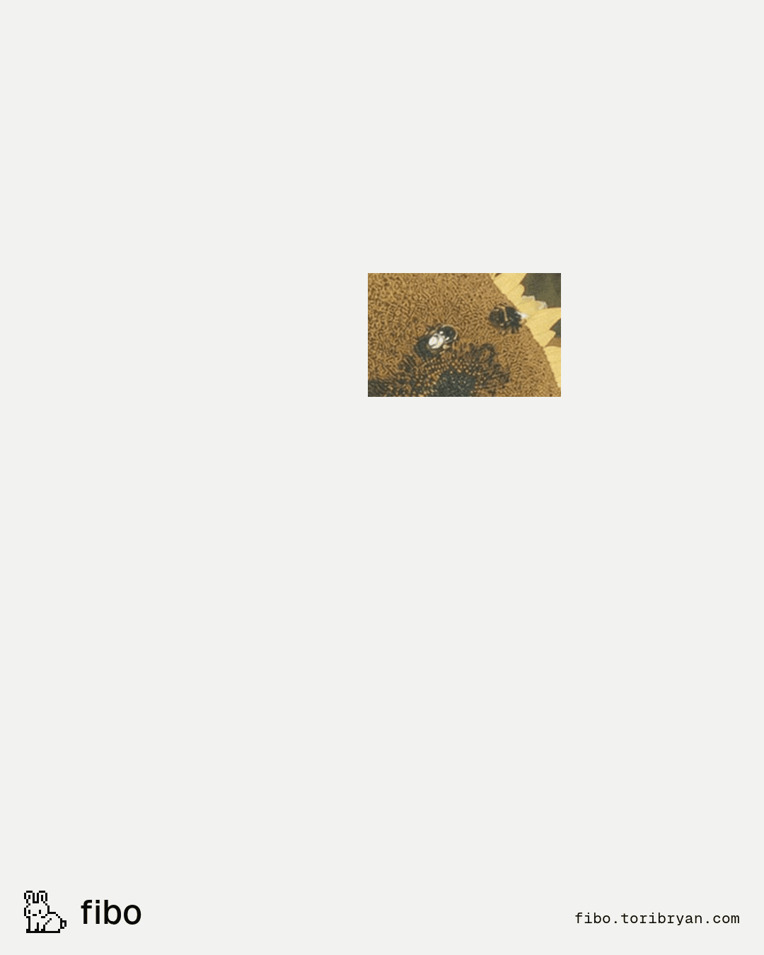 A photograph of bees on a sunflower's seed head in a small window, with a dithered pixel sunflower building out around it.